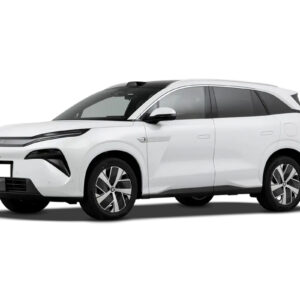 BYD BYD Tang L EV