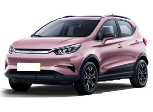 BYD BYD Yuan Pro