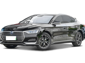 BYD BYD e9