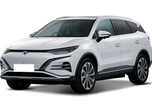 Denza Denza N8 EV