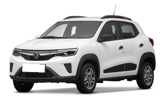 Dongfeng Dongfeng Nammi EX1