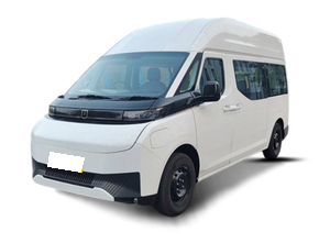 Farizon Farizon Super VAN