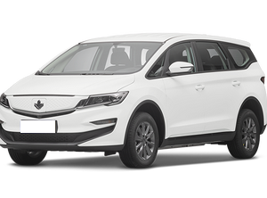 Livan Livan Maple 80v