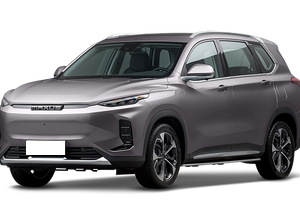 Maxus Maxus EUNIQ 6