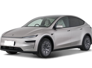 Tesla Tesla Model Y L