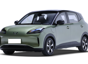 Wuling Wuling Bingo Plus (Wuling Binguo Plus)