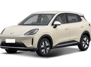 Wuling Wuling Bingo S (Wuling Binguo S)