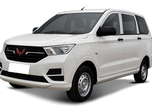 Wuling Wuling Hongguang EV