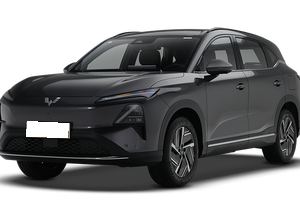Wuling Wuling Starlight S EV