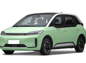 BYD BYD D1