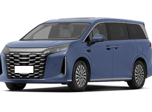 BYD BYD Xia