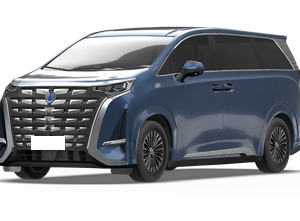 Denza Denza D9 DM-i