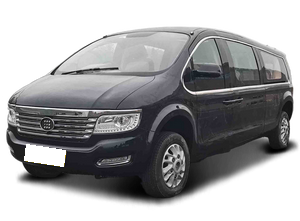 Dongfeng Dongfeng Fengon DXN T8