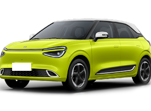 Dongfeng Dongfeng Nammi 01