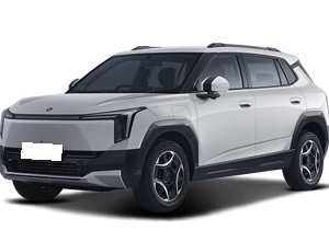Dongfeng Dongfeng Nammi 06