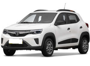 Dongfeng Dongfeng Nammi EX1