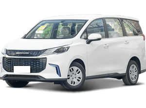Maxus Maxus Mifa 5