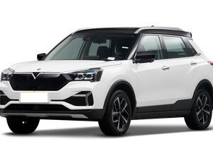 Venucia Venucia T60 EV